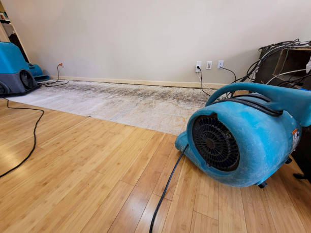 Professional Water Damage Repair technician working in Woodland Hills, UT
